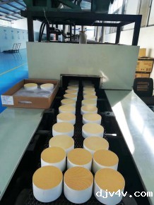 AINW-24.8m电热网带窑